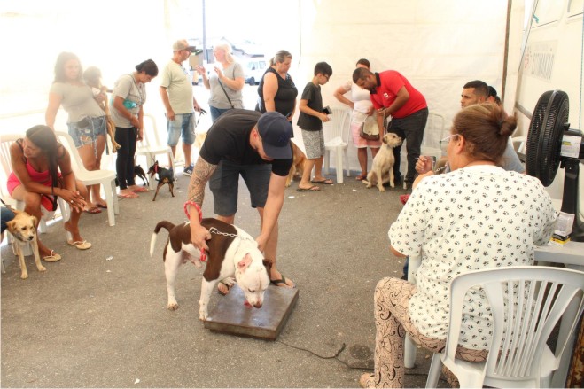 Embu-Guaçu e Itapecerica oferecem castração gratuita de animais