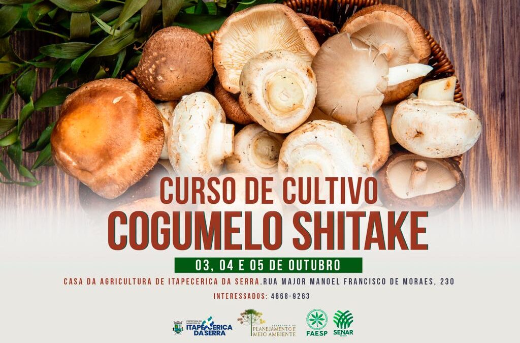 Prefeitura promoverá curso de cultivo de cogumelo Shitake