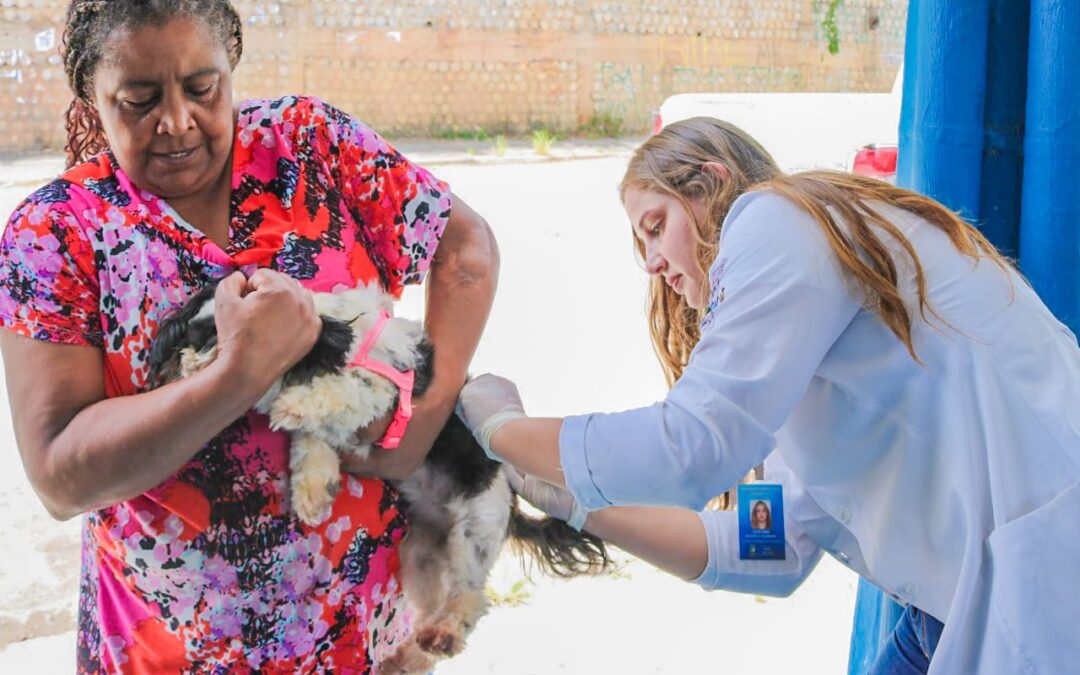 Antirrábica: Número de pets vacinados pela Prefeitura de Itapecerica da Serra ultrapassa 3 mil