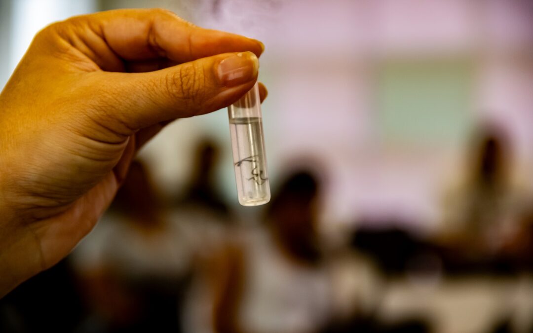 Prefeitura de Taboão da Serra cria site para receber denúncias de focos do mosquito da dengue
