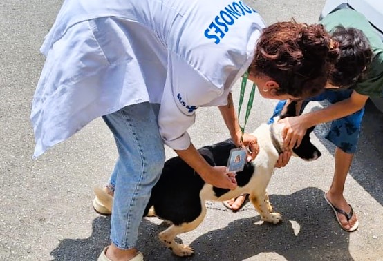 Saúde Animal: Jardim das Esmeraldas recebe 16ª etapa da campanha de vacinação antirrábica