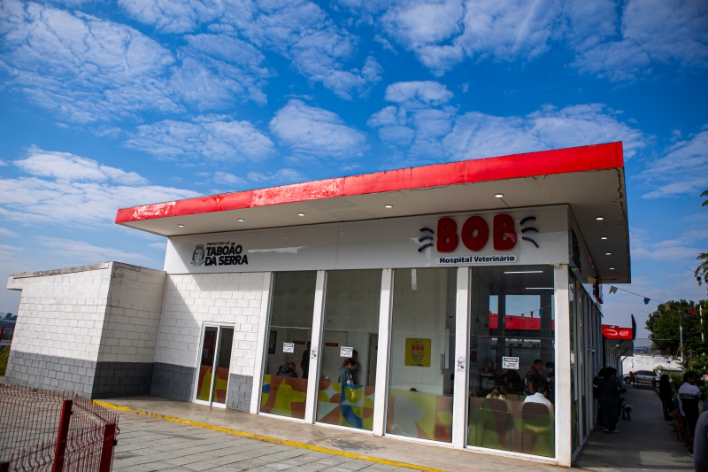 Hospital Veterinário Municipal Bob completa um ano de atendimentos