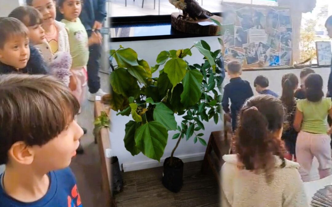 Secretaria de Planejamento e Meio Ambiente realiza ações sustentáveis em parceria com a escola CNA no CNA DAY