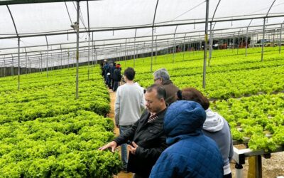 Curso de Hidroponia é promovido em Itapecerica da Serra