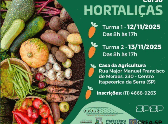 Curso de Hortaliças