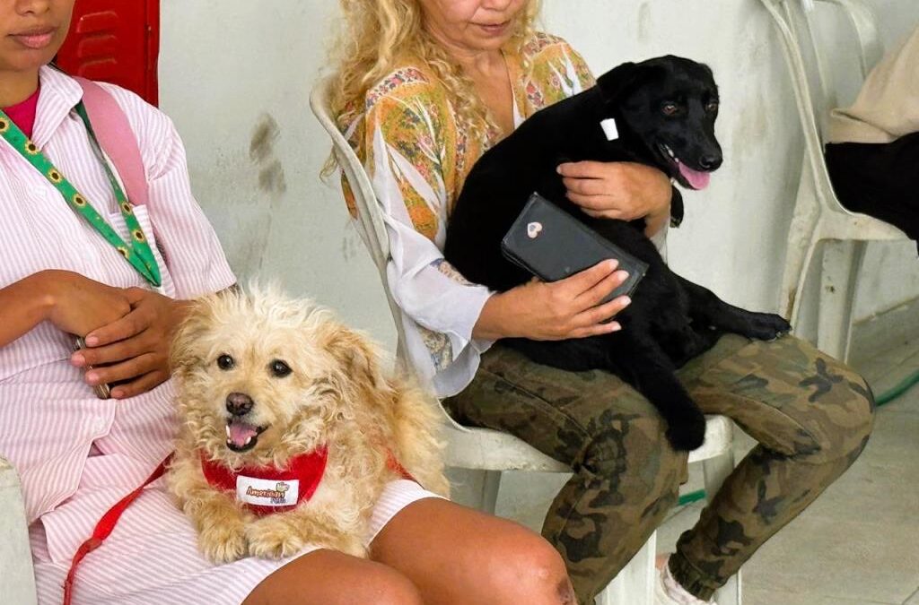 Prefeitura de Itapecerica da Serra realiza ações de saúde e bem-estar animal com castração e vacinação antirrábica