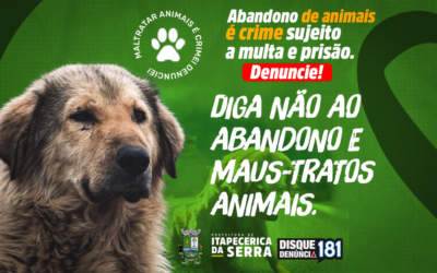 Prefeitura lança campanha contra abandono e maus-tratos a animais