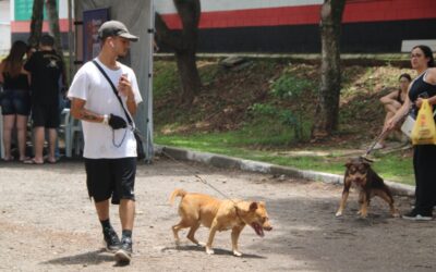 Castração no Seu Bairro chega à Arena Marabá com inscrições abertas