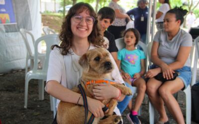 Castração no Seu Bairro acontecerá no Ginásio Zé do Feijão em março de 2026