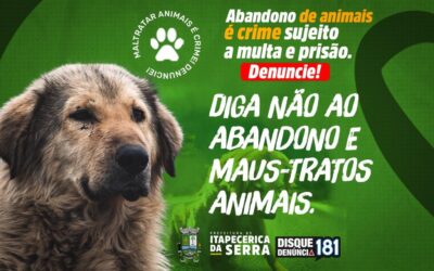 Publicação de norma federal reforça diretrizes sobre proteção animal
