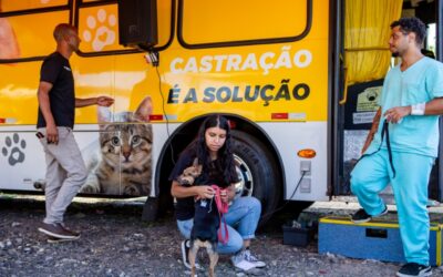 Castração no Seu Bairro já beneficiou mais de 2.600 cães e gatos do município