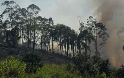 Defesa Civil realiza vistorias para prevenção de incêndios