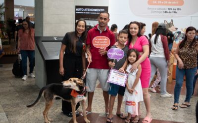 Evento de adoção garante novo lar para 28 pets do CCZ