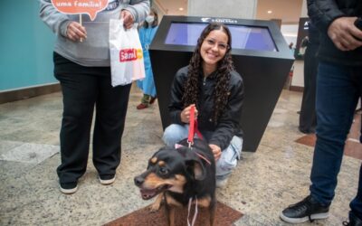 Feira de Adoção em parceria com Shopping Taboão garante lares para 18 animais do Centro de Controle de Zoonoses