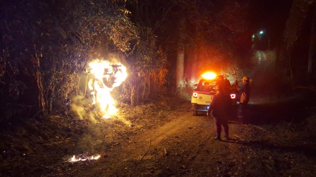 Defesa Civil intensifica combate a incêndios em áreas de mata durante período de estiagem