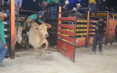 Rodeio de Itapecerica da Serra encerra edição 2026 com grande público, atrações renomadas e ação solidária
