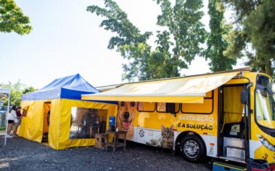 Castra Pets no Seu Bairro atende mais de 500 cães e gatos no Jardim Leme