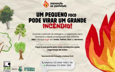 UM PEQUENO FOCO PODE VIRAR UM GRANDE INCÊNDIO