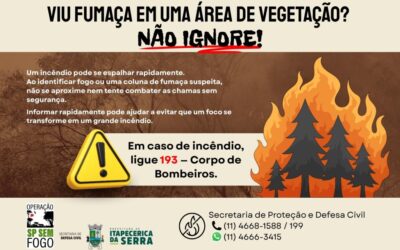 Defesa Civil alerta para os riscos de incêndios em áreas de vegetação