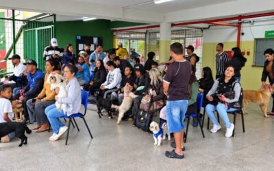 Programa Impacto Pet atende mais de 510 animais em seu lançamento