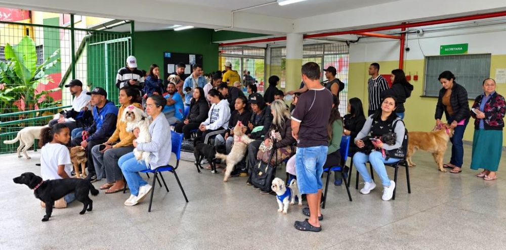 Programa Impacto Pet atende mais de 510 animais em seu lançamento